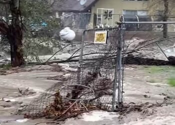 The holiday period is forecast to be a washout for the Golden State this year, with meteorologists warning that up to eight inches of rain is expected to hit several areas including Los Angeles County and Santa Barbara over the next four days