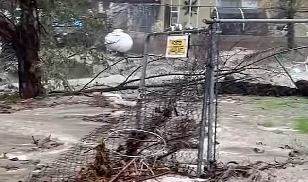 The holiday period is forecast to be a washout for the Golden State this year, with meteorologists warning that up to eight inches of rain is expected to hit several areas including Los Angeles County and Santa Barbara over the next four days
