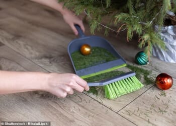 Shortfall: A reader's 'non-drop' Christmas tree starting shedding its needles after just one week