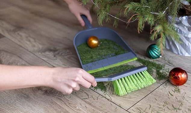 Shortfall: A reader's 'non-drop' Christmas tree starting shedding its needles after just one week