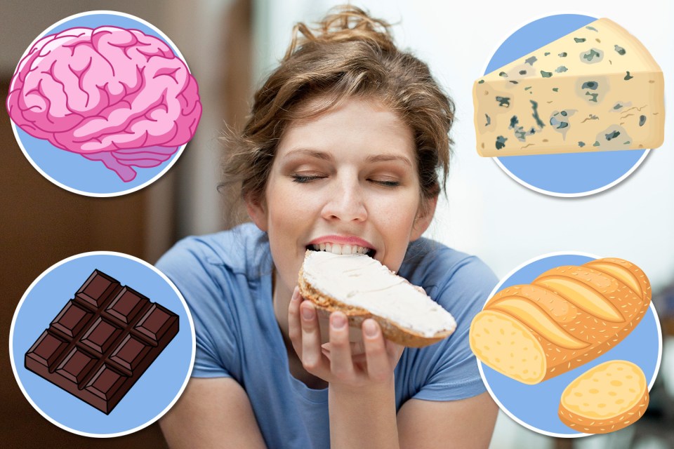 Collage of a woman eating bread with cream cheese, with illustrations of a brain, blue cheese, chocolate, and bread.