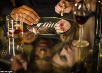 The festive period is a good time of year for cocaine users, says Sarah Ibrahim