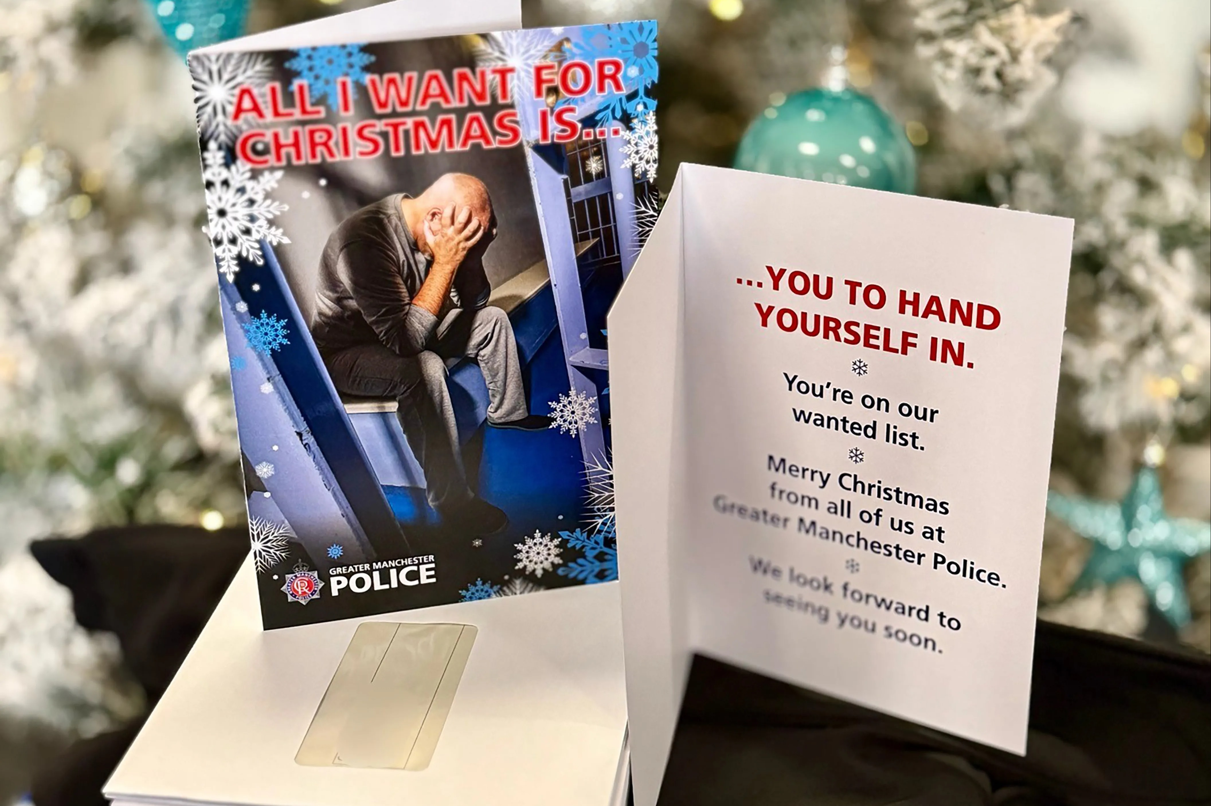 NINTCHDBPICT001045977814