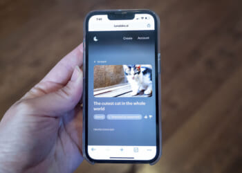 Creating ‘good rules’ for AI