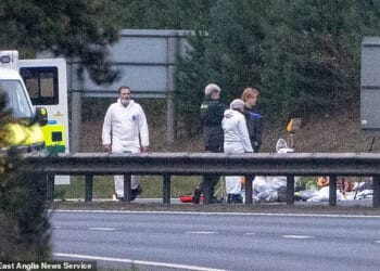 Witnesses said they saw the man brandishing a gun following the collision between a car and a Mercedes van in Thetford, Norfolk, at 8.25pm on Sunday. Image from the scene
