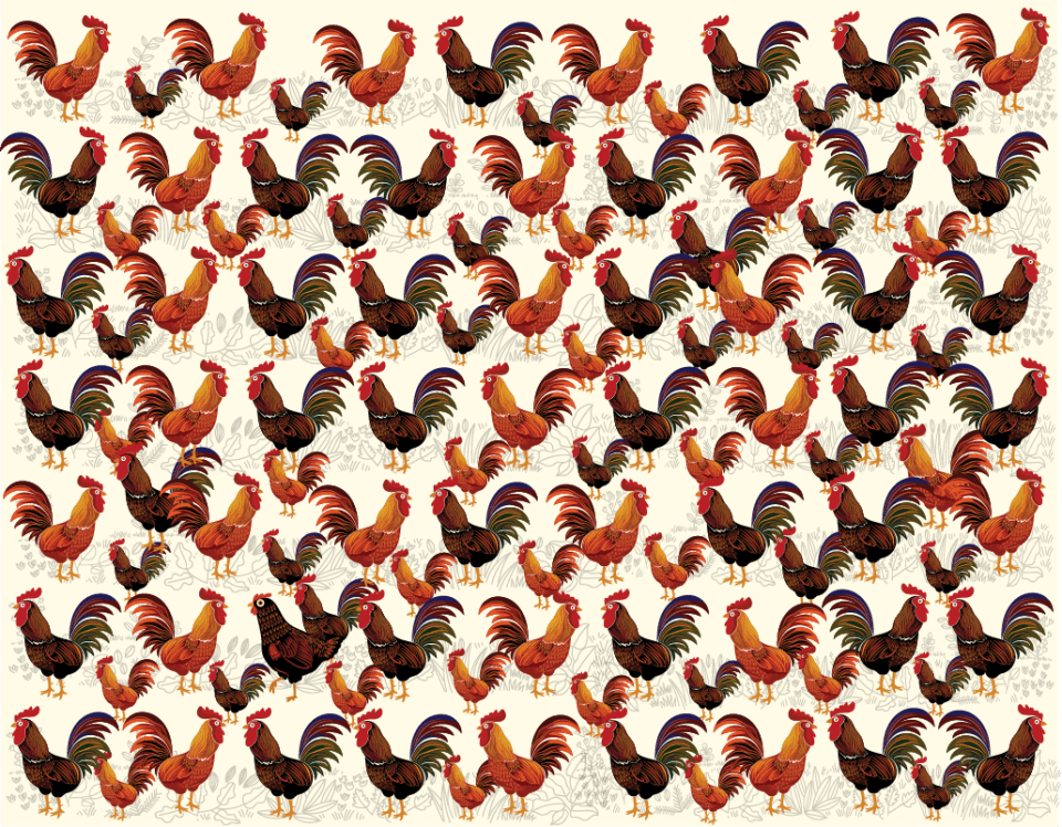 Illustration of a rooster brain teaser with many roosters, one of which is different.