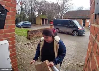 Video captured the moment an Evri delivery driver appeared to steal a Christmas present from a customer's doorstep - running off with the package in broad daylight