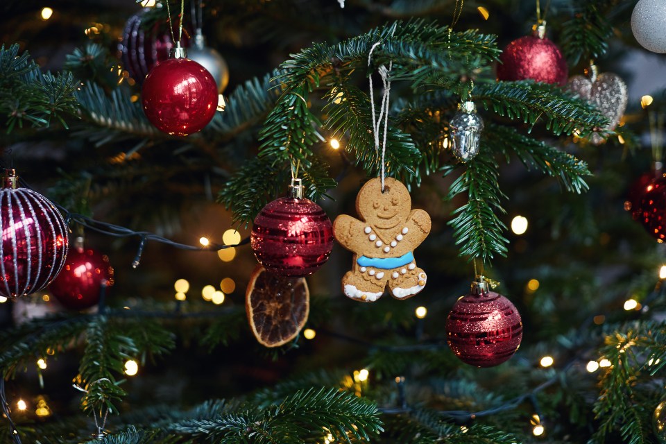 A decorated gingerbread man hanging on a Christmas tree with red ornaments and lights.
