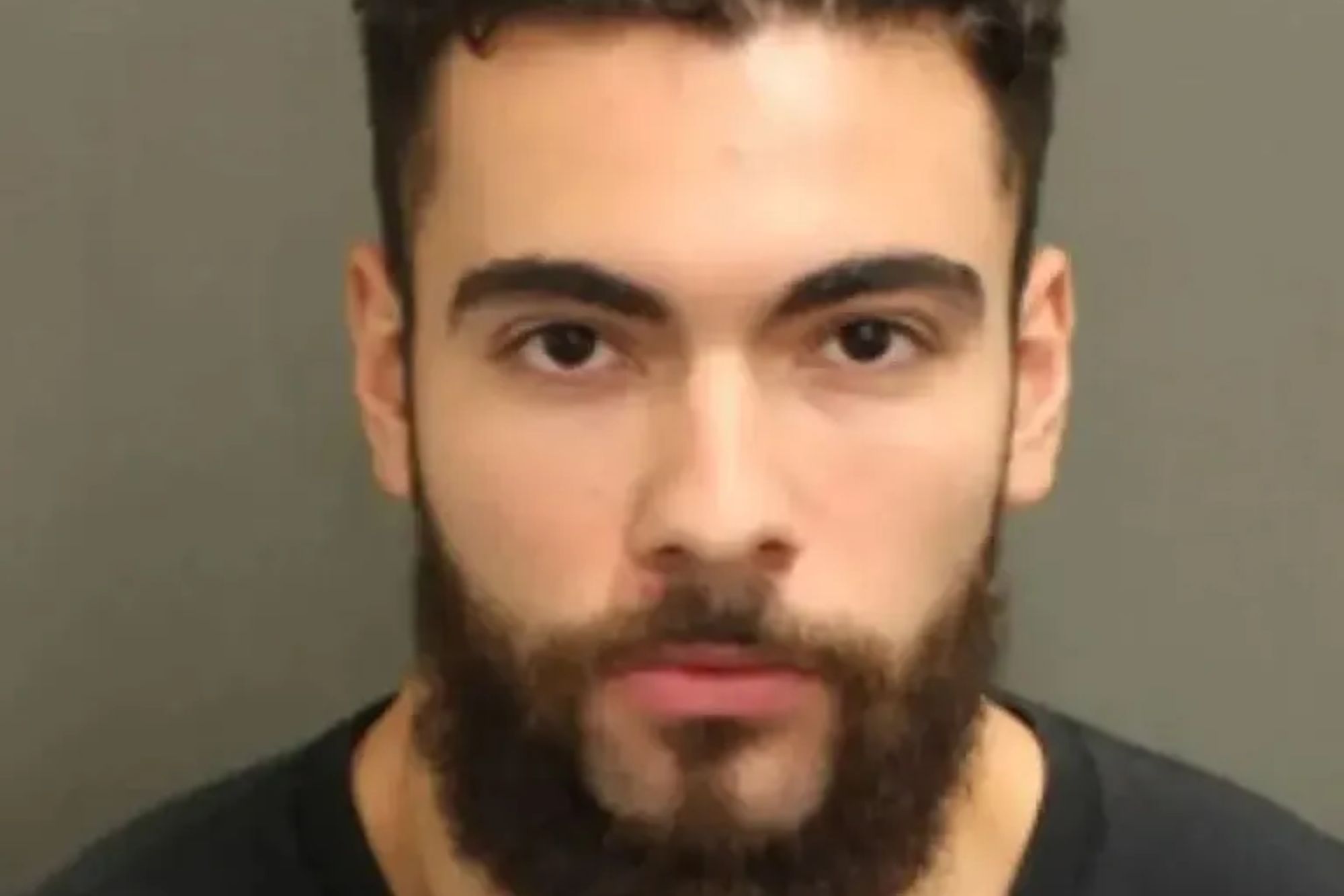 An image collage containing 1 images, Image 1 shows NINTCHDBPICT001044047892