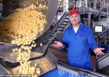 Inside The Factory's future has been confirmed after Paddy McGuinness was drafted in as a replacement for the disgraced Greg Wallace on the popular show