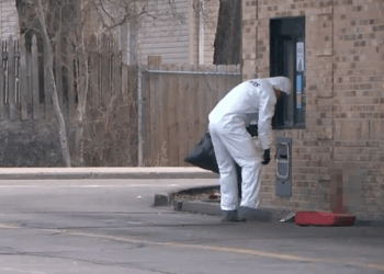 Grandad crushed to death at McDonald's drive-thru in freak accident after getting trapped between payment window & car