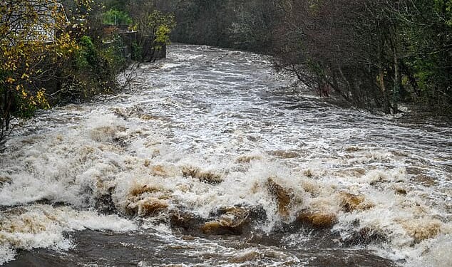The River Tawe rages past properties in Ystradgynlais in the Powys area of South Wales today