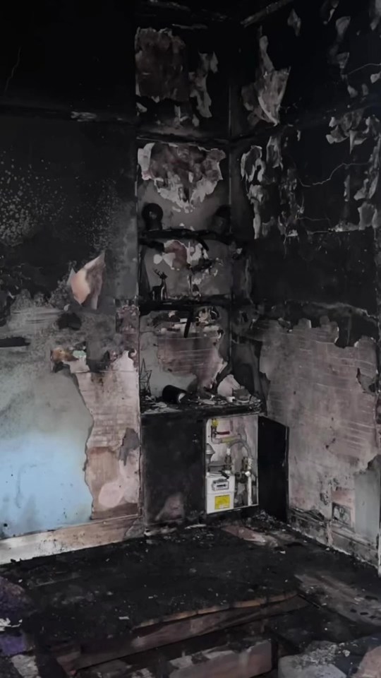 NINTCHDBPICT001044271538