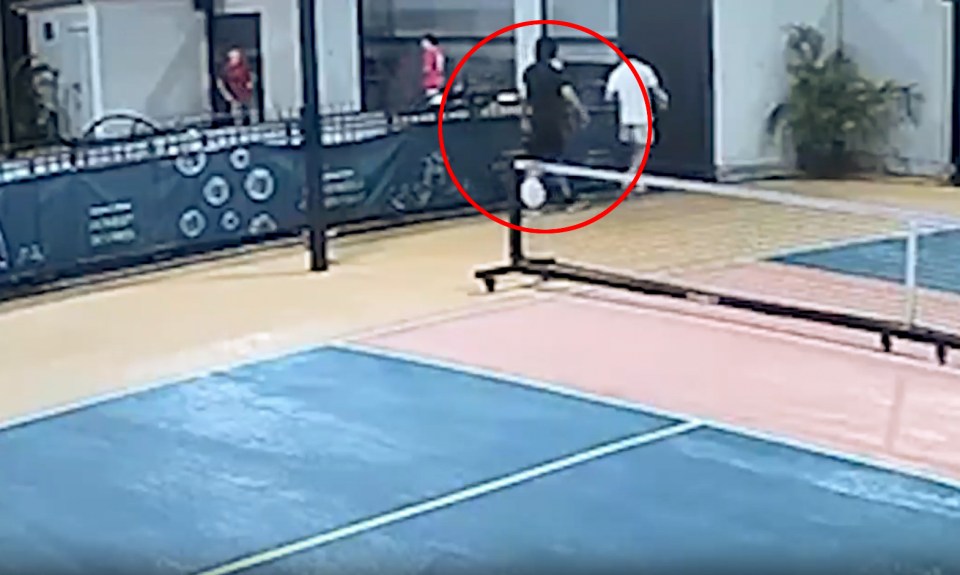 NINTCHDBPICT001045066157