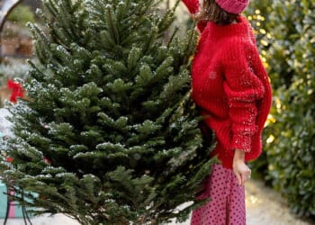 How Christmas is more expensive than ever: Daily Mail investigation reveals the staggering true cost of the festive period... and the essentials that are the most pricey