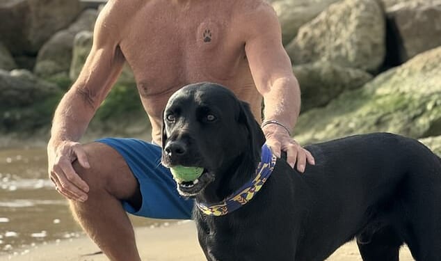 David Howarth, pictured with his Labrador Beau who was with him when he collapsed