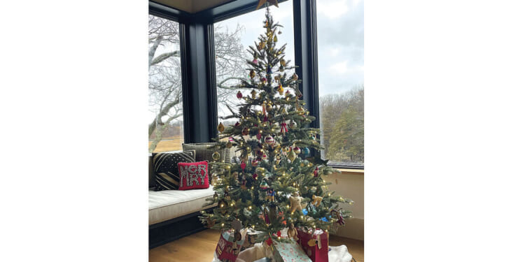 I thought Christmas would be ruined. Instead, I learned its true spirit.