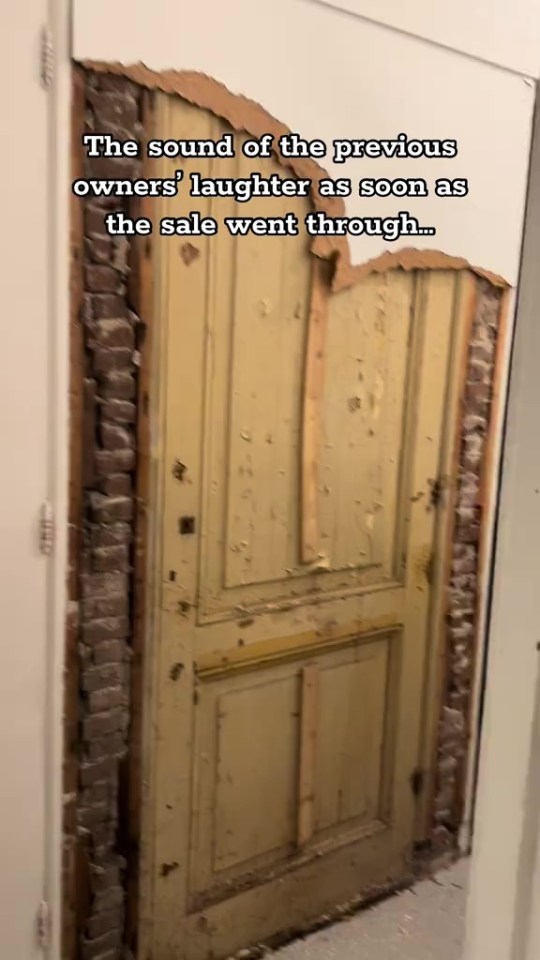 NINTCHDBPICT001044753602