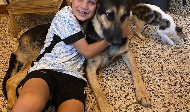 Alfie Hallett, 13, was killed on Tuesday by Goncalo Carvalho, 43, at his home in Casais, located in the Tomar region of Portugal