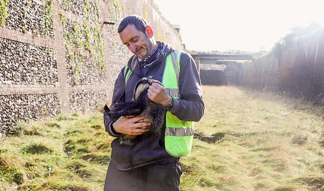 Graham Lee, 56, from the Isle of Wight, pictured here with a rescued badger. He was a victim of an arson attack by his neighbour who set fire to his Land Rover