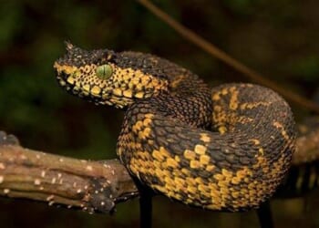 If There's One Thing the Left Actually Works at, It's 'Ugly' – HotAir