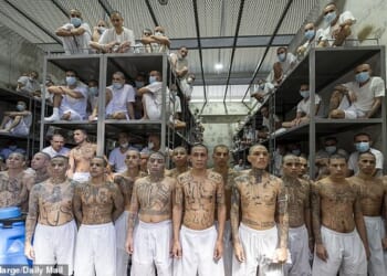 Gang members being held at El Salvador's Terrorist Confinement Centre (CECOT)