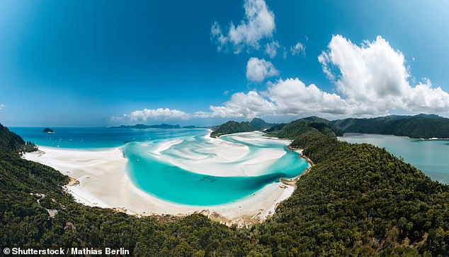 Police received reports of a lifeless body in the water at Whitehaven Beach, off the Queenslandcoast, about 11am on Wednesday (the beach is pictured)