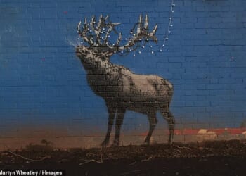 A new artwork by Banksy shows a reindeer adorned with Christmas lights on a wall of a disused tennis court changing rooms in London Fields, Hackney
