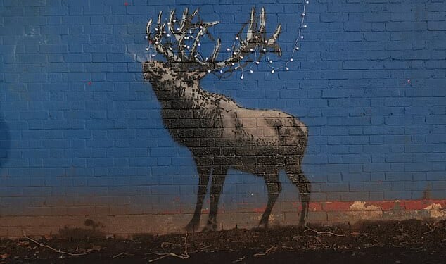 A new artwork by Banksy shows a reindeer adorned with Christmas lights on a wall of a disused tennis court changing rooms in London Fields, Hackney