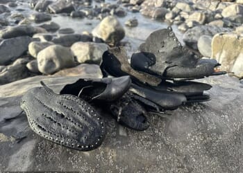 The haul amounts to 450 shoes so far, discovered by volunteers on a beach in Wales last week