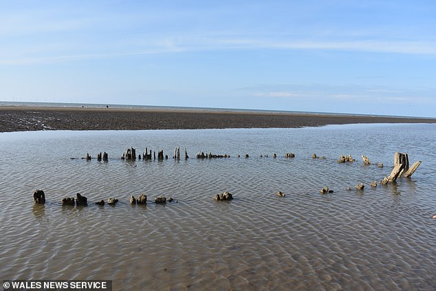 The remains of a 150-year-old shipwreck (pictured) emerged from the sands in north Wales after storms in 2019 July's thunderstorms. Archaeologists 'tentatively identified' it as the 45ft long Endeavour which sunk without a trace in 1854