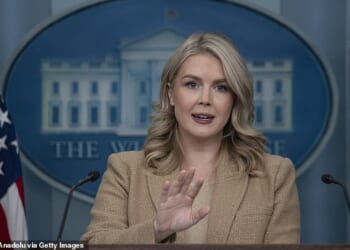 Karoline Leavitt slammed New York Times reporter Katie Rogers over a shocking piece she wrote last week that claimed Donald Trump was showing 'signs of fatigue' in his second term