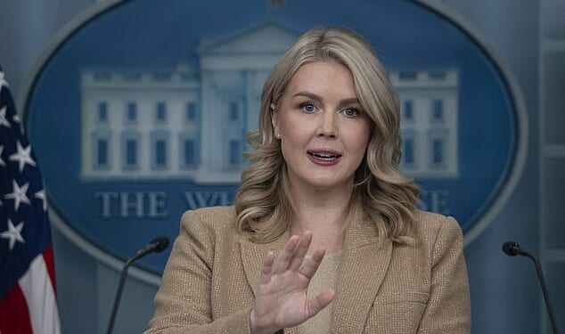 Karoline Leavitt slammed New York Times reporter Katie Rogers over a shocking piece she wrote last week that claimed Donald Trump was showing 'signs of fatigue' in his second term