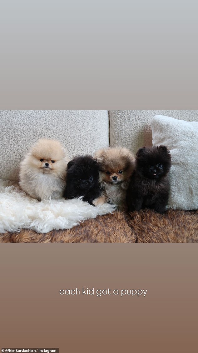 Kim announced she had given each one of her four children a Pomeranian puppy for Christmas