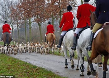 Ministers will on Monday announce a ban on trail-hunting – in which hunters follow packs of hounds through the countryside in search of pre-laid scents rather than live animals