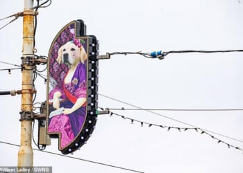 One of this year's designs, called 'Lusch Puppy', pays tribute to Laurence Llewelyn-Bowen's dogs and shows the pampered pooches portrayed as dress-wearing aristocrats