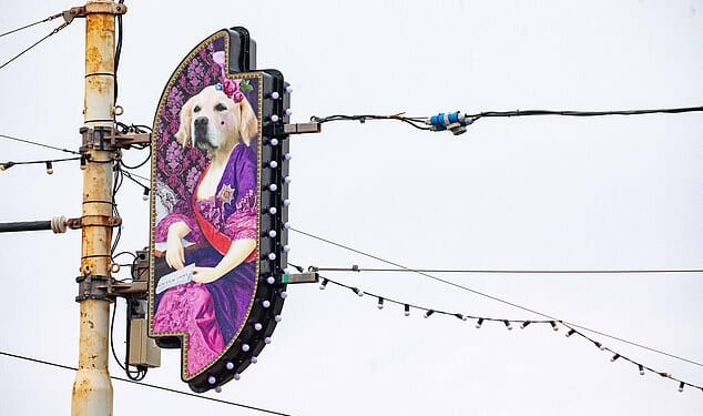 One of this year's designs, called 'Lusch Puppy', pays tribute to Laurence Llewelyn-Bowen's dogs and shows the pampered pooches portrayed as dress-wearing aristocrats