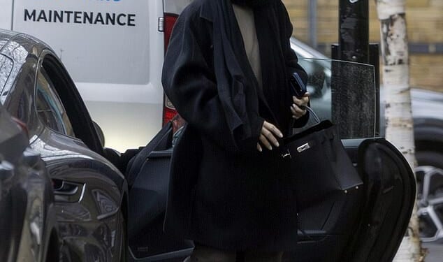 Lily Allen has revealed she's undergoing therapy for 'shopping like an insane person' to celebrate her new album's success, including spending £16,500 on a Hermes handbag