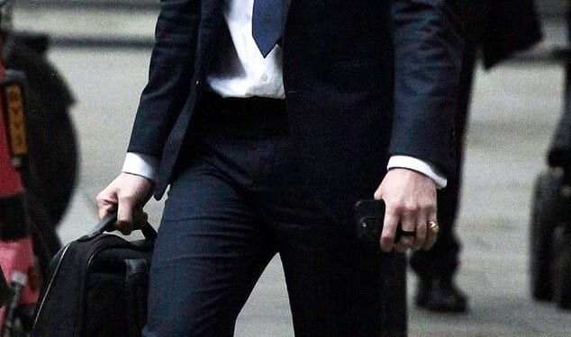 Lonan O'Herlihy, known as the 'Posh PT', pictured outside London's High Court where he is suing his mother's ex-boyfriend's widow for a share of his £38million estate