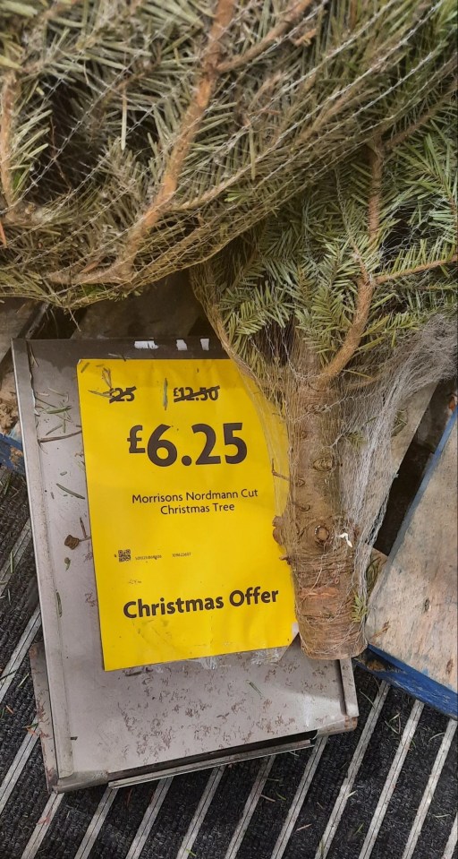 NINTCHDBPICT001046801646