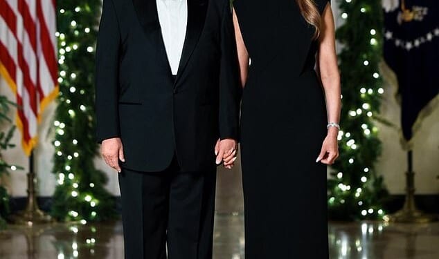President Donald Trump and First Lady Melania have released their annual Christmas photo - but some have pointed out that it doesn't exactly look like they're in the holiday spirit in it