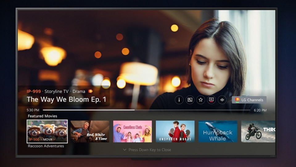 A television displaying the LG Channels home user interface, featuring "The Way We Bloom Ep. 1" as the main content and a row of featured movies below.