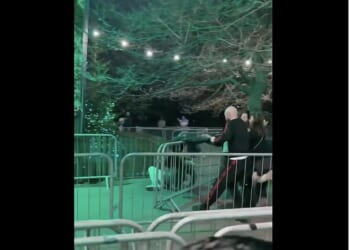 In a frenzy, the boy falls backwards onto a group of people before being punched to the ground