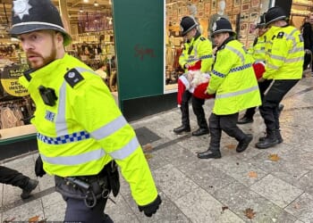 This is the moment a man dressed as Father Christmas was dragged away by police after he was arrested at a Palestine Action protest