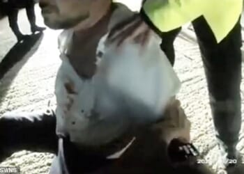 Police bodycam footage shows officers arresting Daniel Peasnell after he bit off a wedding guest's finger