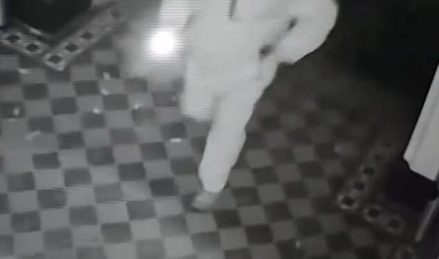 This is the moment a brazen thief breaks into I'm A Celeb star Lady Colin Campbell's castle and steals one of her children's Christmas presents