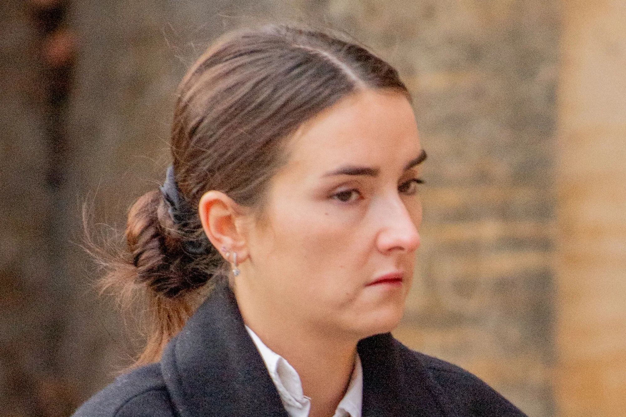 An image collage containing 1 images, Image 1 shows NINTCHDBPICT001045435596