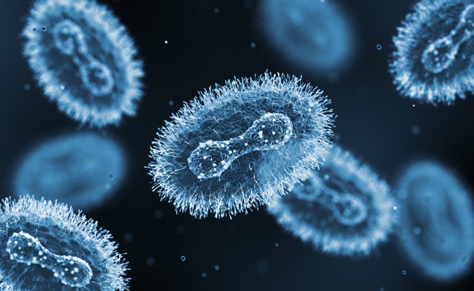 Monkey Pox Virus Epidemic. Microscope Slide