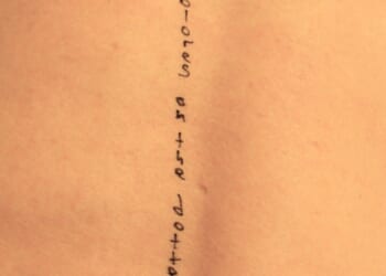 The pictures were made public on December 18 by Democrats on the House Oversight Committee