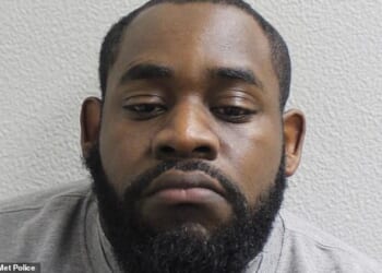 Demiesh Williams (pictured), 30, was today sentenced to five years and three months in prison over the death of Andrew Clark